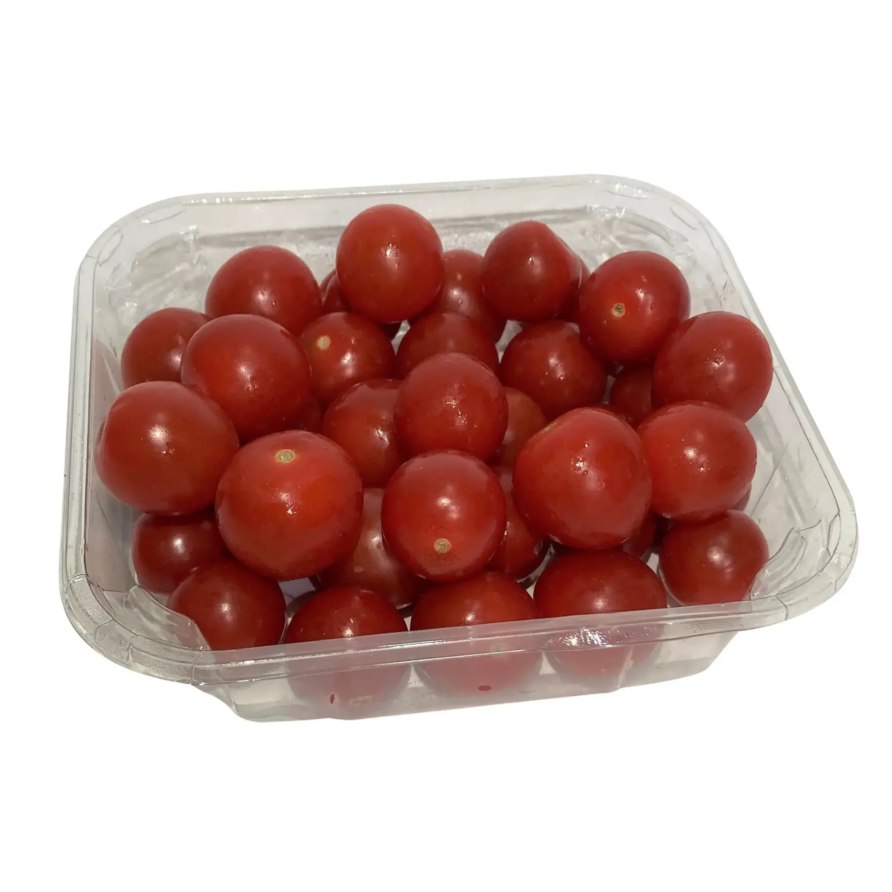 Ouedhref – Gabès : Un investissement de 35 millions de dinars pour dynamiser la filière de la tomate cerise