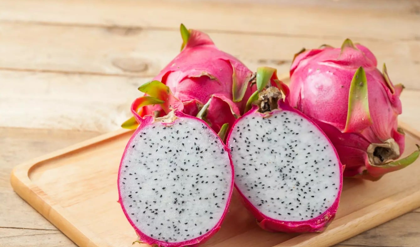Festival du Fruit du Dragon à Bizerte : L’exotisme agricole qui réinvente la Tunisie