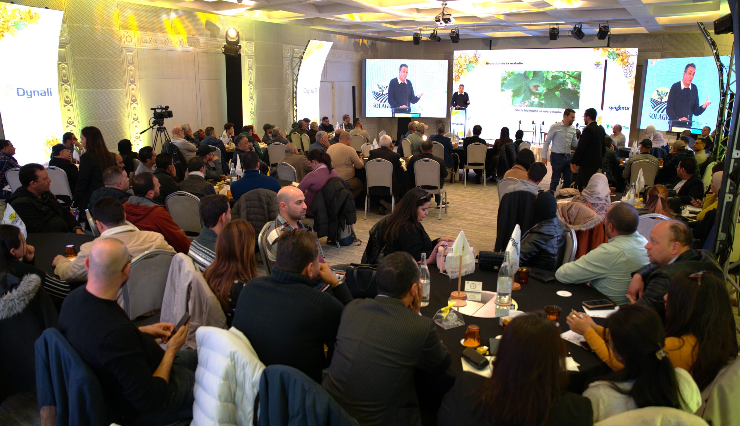 SOLAGRI PANEL VITICULTURE : IMPACT ET SOLUTIONS FACE À L’OÏDIUM DE LA VIGNE