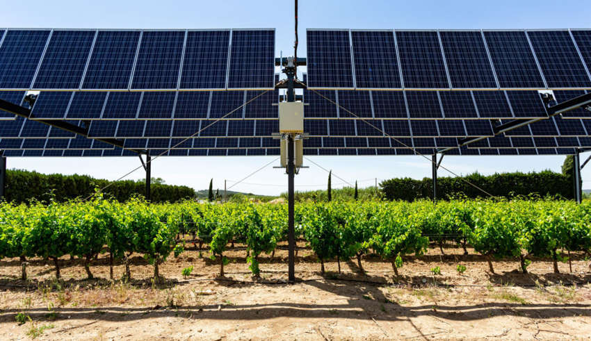 Agrivoltaïsme : une solution durable pour l’agriculture face au changement climatique