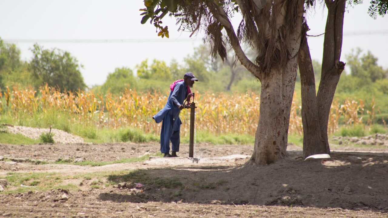 Puits agricoles non autorisés : l&rsquo;ARP adopte leur régularisation contre une redevance de 3 500 dinars