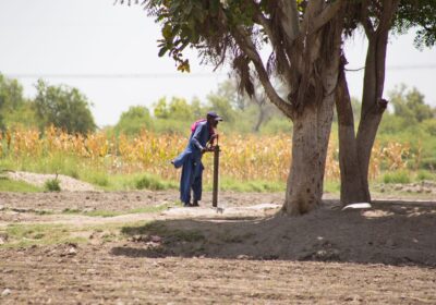 A farmer operates a hand pump under the shade of a tree in Kandiāro, Sindh, Pakistan.
