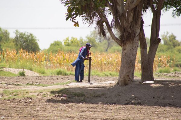 Puits agricoles non autorisés : l&rsquo;ARP adopte leur régularisation contre une redevance de 3 500 dinars
