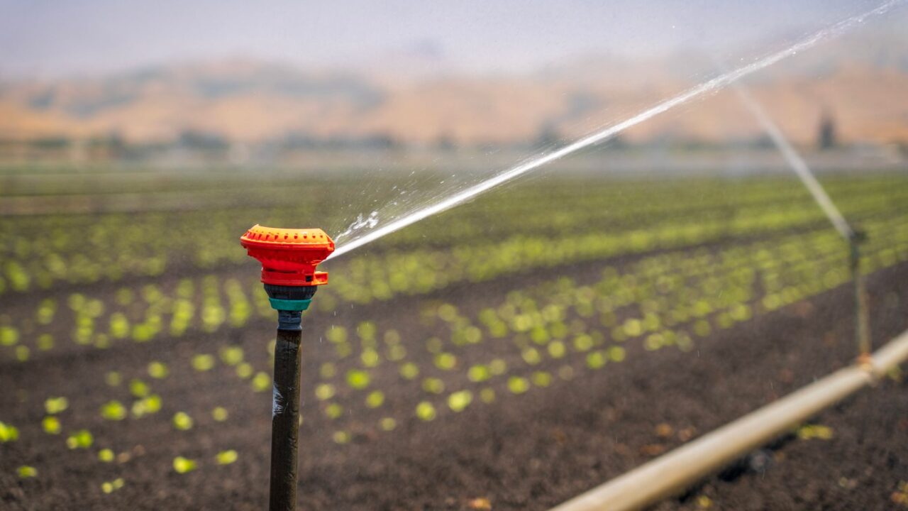 SIAT 2026 : le salon de l&rsquo;investissement agricole ouvre au Kram, le recensement agricole annoncé pour début novembre
