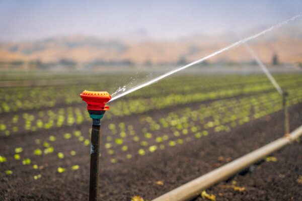 SIAT 2026 : le salon de l&rsquo;investissement agricole ouvre au Kram, le recensement agricole annoncé pour début novembre