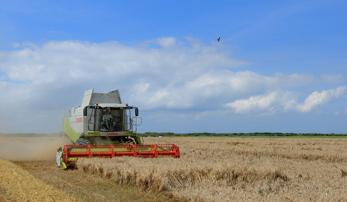 Analyse : Combien gagne un agriculteur en France ?