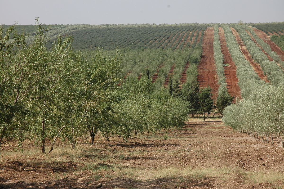 L’agriculture en Tunisie