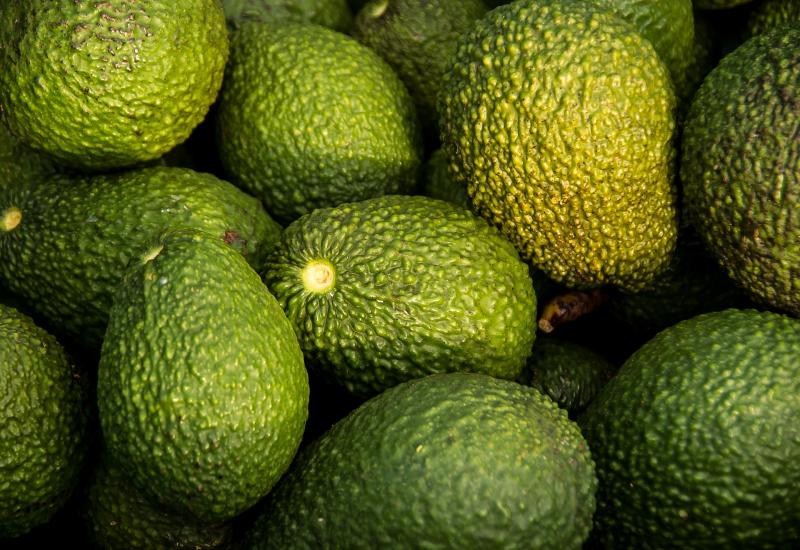 زراعة الأفوكاد في إيطاليا