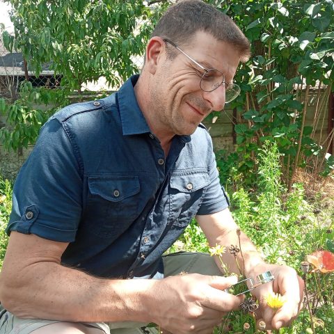 Comment agir pour préserver la pollinisation et les rendements agricoles ?