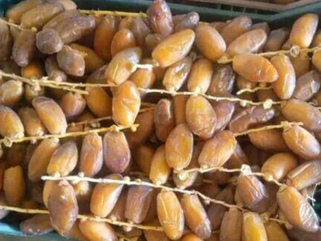 Mohamed Sadok promeut la Deglet Nour tunisienne – AgriTunisie.com