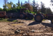 terrain domanial agricole “Henchir El Ghorfa”