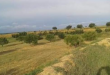 Soliman: Restitution d’un terrain domanial agricole de l'état de 56,5 hectares