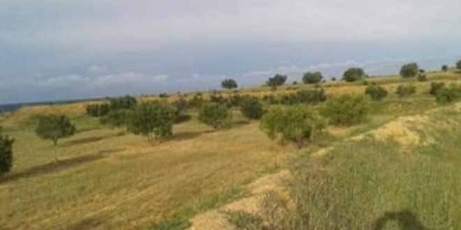 Soliman: Restitution d’un terrain domanial agricole de l'état de 56,5 hectares