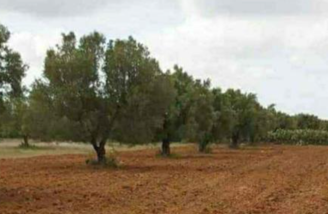 Un avenir incertain pour les cadres et ingénieurs du Centre National des Études Agricoles