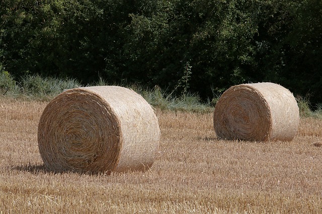 المجمعة الزراعية agro-combinats في جندوبة تراكم ديونها البالغة 51 مليون دينار