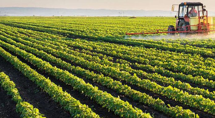 Investissements agricoles privés en Tunisie 2025 : croissance, modernisation et inclusion sociale