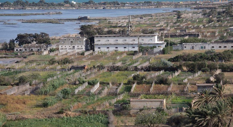 Les cultures Ramli de Ghar El Melh : un patrimoine agricole unique menacé de disparition