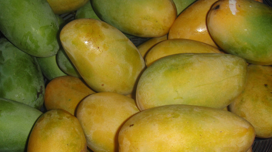 L&rsquo;Egypte veut s&rsquo;attaquer au marché de la mangue