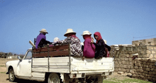 Sidi Bouzid : de nombreux ouvriers agricoles blessés après un accident