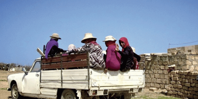 Sidi Bouzid : de nombreux ouvriers agricoles blessés après un accident