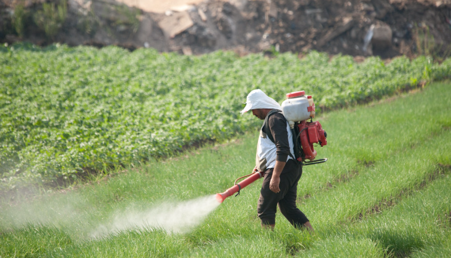 Le 1er Biopesticide 100 Tunisien Sera Lanc D ici Fin 2023 