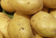 Pommes de terre - ph : DR