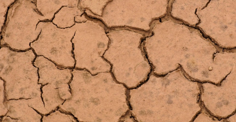 UTAP : L&rsquo;agriculture tunisienne face aux défis climatiques