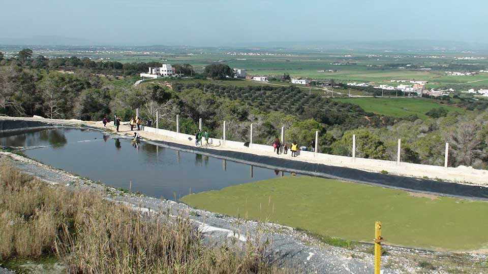 Irrigation avec des Eaux Usées Traitées : Un Nouvel Élan pour l&rsquo;Agriculture Tunisienne en 2025