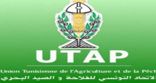 UTAP Tunisie