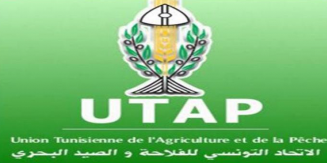 UTAP Tunisie