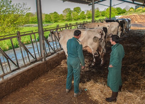 SOS pour les éleveurs de Bouargoub à cause de la mortalité très élevée de bétail